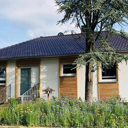 Ferienhaus Urwald Hofgeismar Eksteriør billede