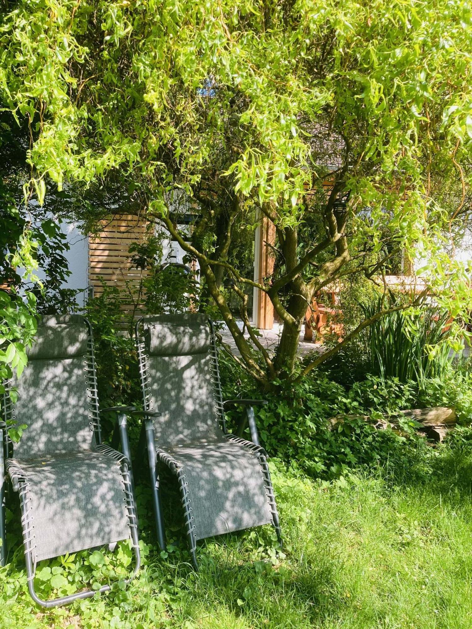 Ferienhaus Urwald Hofgeismar Eksteriør billede